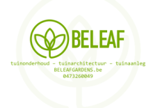 logo beleaf